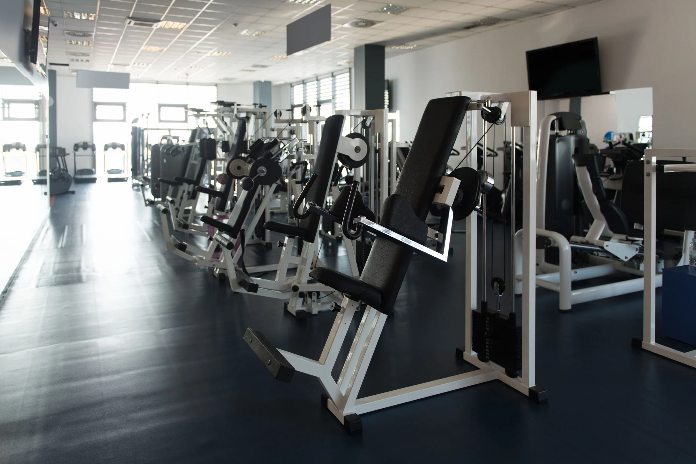 Fitness & Wellness